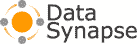 Data Synapse, Inc.